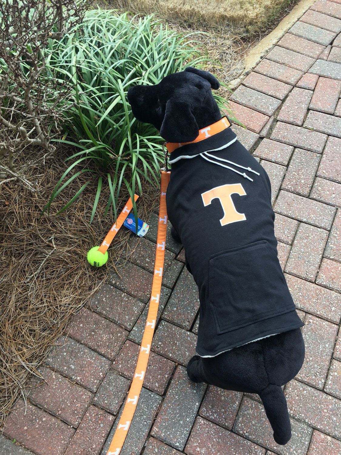 University of Tennessee  Volunteers Dog Hoodie Coat