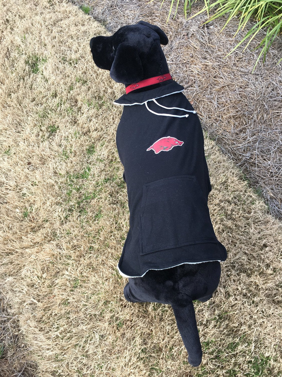 Arkansas Dog Hoodie Coat