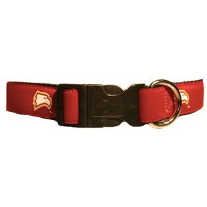 Winthrop University  Dog Collar