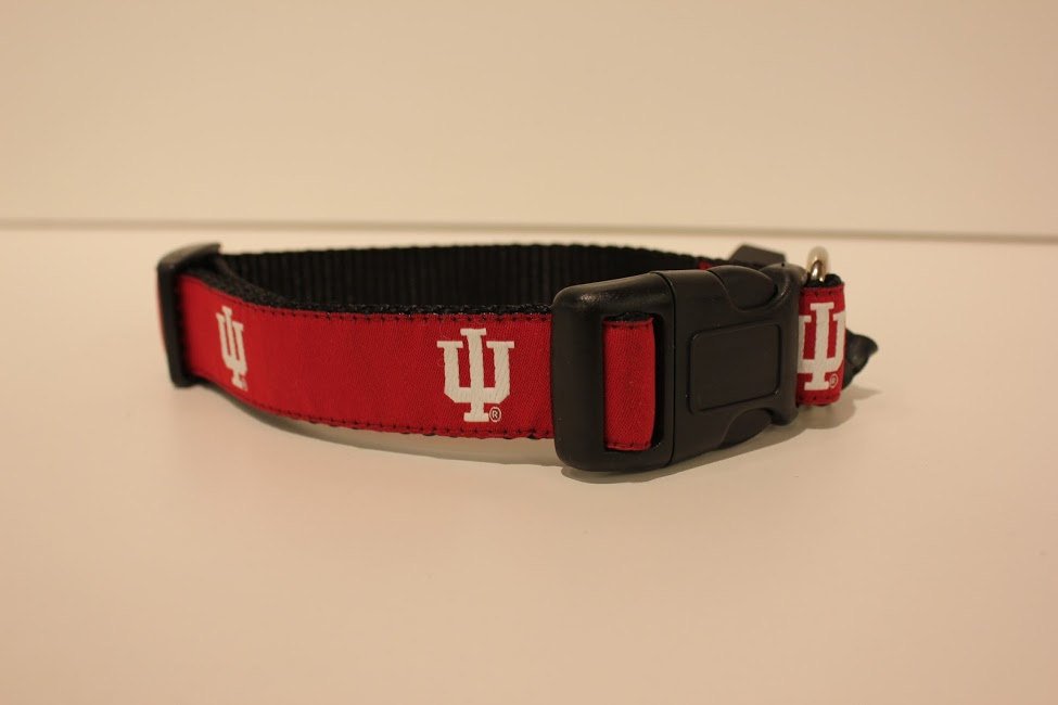 University of Indiana Dog Collar