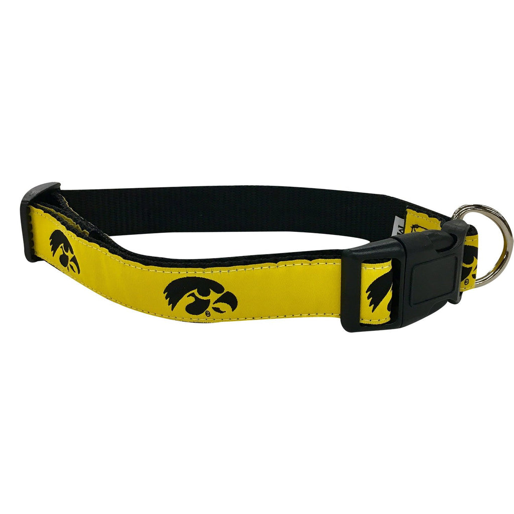 University of Iowa  Dog Collar